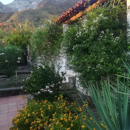 Yellow House Di Giulia